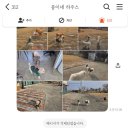 콩이네놀이터