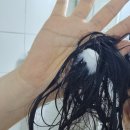 클라라 바디케어 | 얇은 모발 손상모 데일리 두피케어 트리트먼트 추천 ㅣ 르주르 꼴로레 트리트먼트 후기