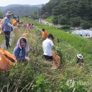 낙동강관리본부 대저생태공원 7 연합뉴스