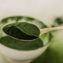 씨에스에프(주) 이미지