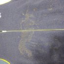 크린하우스세탁소 이미지