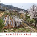 보람농장 이미지