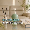 취;향 | 절 다녀온 날 이후로.. 계속 찾게 되는 이유 (취 사찰향 핸드바디워시 후기)