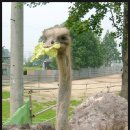 하궁농장 이미지