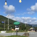 빵동산 | 광주근교 넓은 잔디밭이 있어 아이랑 가기 좋은 장성 동산커피 소금빵 후기