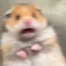 채널플러스의원 이미지