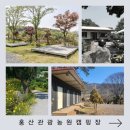 홍산관광농원 이미지