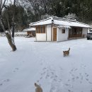 죽록정사 이미지