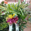 월명장례식장 이미지