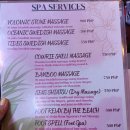 (주)코리아세븐 목동역점 | [해외] 세부여행 2,3일차 | 수그보야시장, 아얄라몰, 마사지 후기