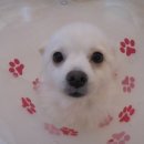 연지동물병원 이미지