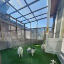 로엘유치원 이미지