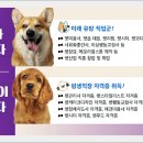 전북펫고등학교 이미지