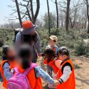 숲속체험마을협동조합 | 유아 숲체험 깨비의숲마을 재이용 추천 후기