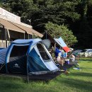 초리 포레스트 이미지