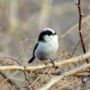 영렘브란트 미술학원 이미지