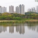 화랑유원지 이미지