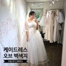 더케이메디칼(주) | WD💗 케이드레스 오브 백색지 드레스 피팅 후기 (계약 O)