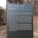 도피안사 이미지