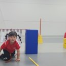 강철태권도체육관 이미지