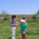 안남초등학교 이미지