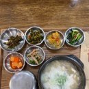 경성닭곰탕