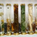 한비하다 이미지