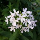 운악산성 이미지