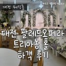 오페라 | 대전 팔레드오페라 트리아농홀 하객 후기 (주차, ATM, 장단점 정리)