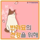 주주동물종합병원 이미지