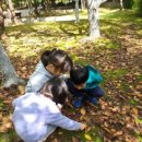 주엽공원 이미지