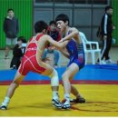 레슬링 제주도민일보