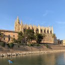 맨돈지골프 | 유럽인들의 휴양지!! 마요르카 첫째날❤️ 마요르카 렌트 &amp; 주차 꿀팁과 팔마대성당 인생사진 장소!