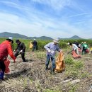 세계자원환경 이미지