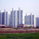 버드내마을 이미지