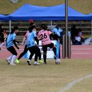 청양공설운동장 이미지