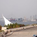 [오사카] 두근두근, 팬스타페리 여객선을 타고 오사카여행 - 귀로. 오사카항에서 부산항으로~ 이미지