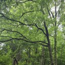 계룡소방서 화장실 이미지