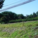 오가3리 경로당 이미지