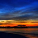 순천만습지 이미지