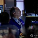 (주)버블디 뉴데일리
