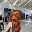 제아헤어 - 북구 와석장터로 8 | 제아헤어
