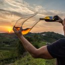 내츄럴코리아 이미지