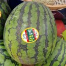 하나비젼실버홈 이미지