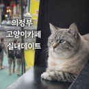 니즈 | 의정부 고양이카페 니즈 후기｜실내 데이트 놀거리