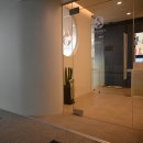 퍼피루스 이미지