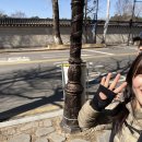 피티루트(부암동점) | [구기동PT, 피티루트] 요즘 러너들 사이 핫한 챌린지! 버터런 10km 후기 (준비물 / 코스 / 광화문 파네트)