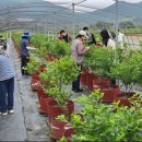 영광축산 이미지