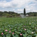 용성3길 이미지