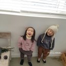 마츠하나 이미지